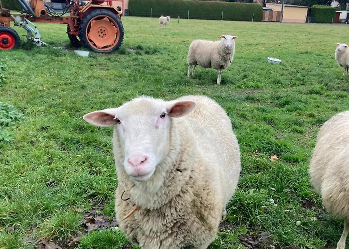 An Der Zschopau * Niederwiesa